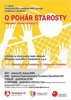 Volejbalový turnaj "O pohár starosty MO Pardubice II"