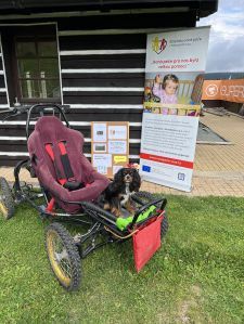 379667107_1665022367316980_15570032487778377_n